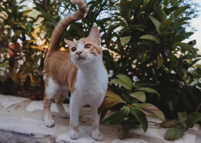 Andama Country Living منزل ريفي